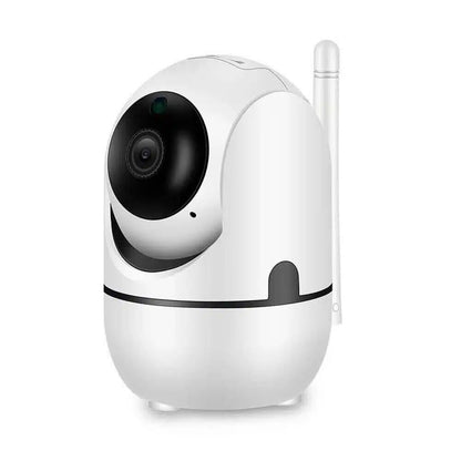 Intelligent Nanny Camera